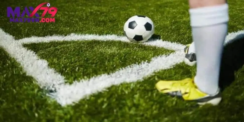 Phân loại các kèo dành cho người chơi dễ nhận biết